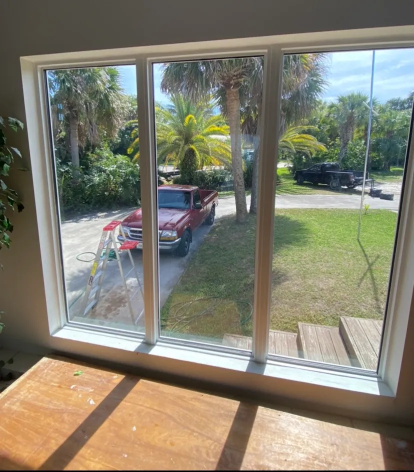 Impact window installation — picture windows with palm tree view